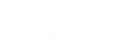 ACELORMITAL-1