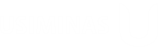 USIMINAS-1